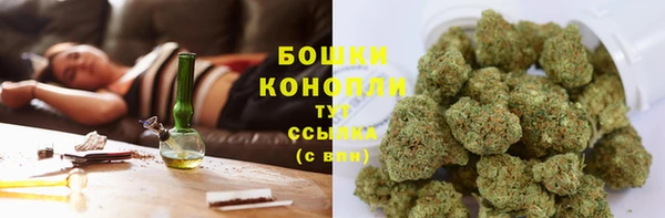 прущая мука Михайлов