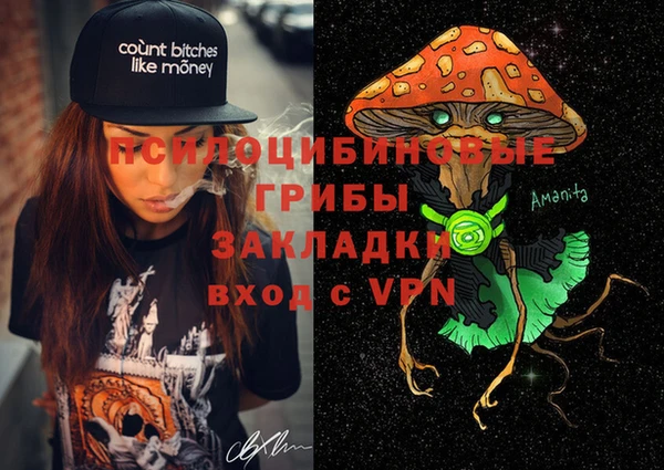 прущая мука Михайлов
