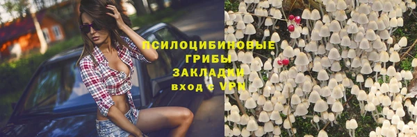 прущая мука Михайлов