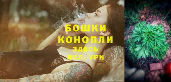мдпв Михайловск
