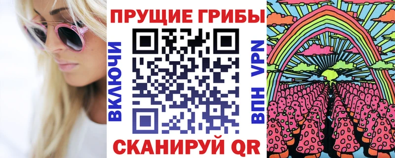 mega ссылки Кыштым Галлюциногенные грибы Psilocybe