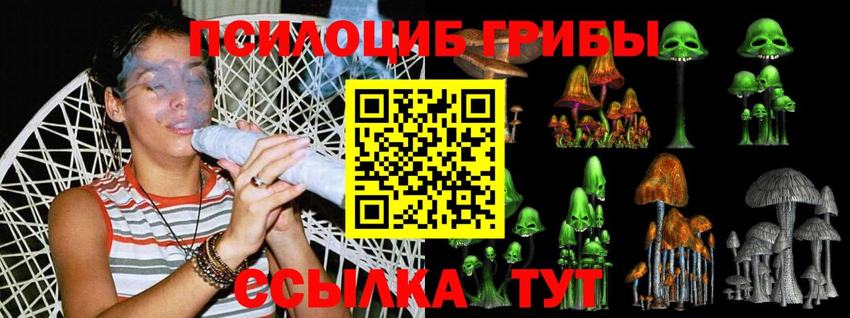 Псилоцибиновые грибы прущие грибы  Кыштым  Галлюциногенные грибы мицелий 