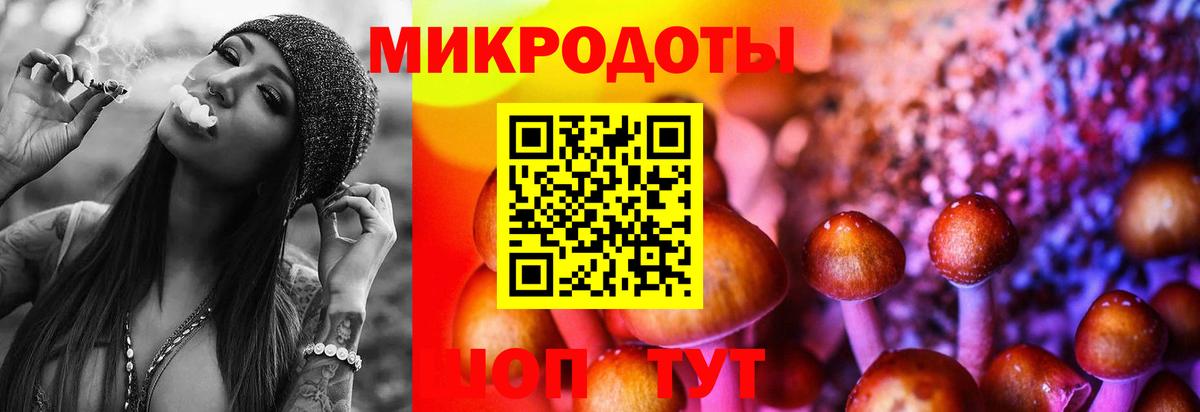 Галлюциногенные грибы Psilocybine cubensis Кыштым