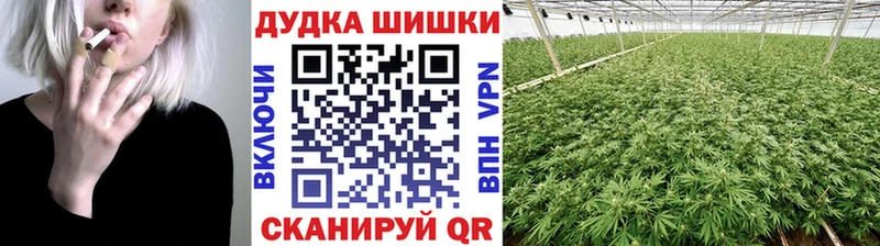 Шишки марихуана SATIVA & INDICA  Кыштым 