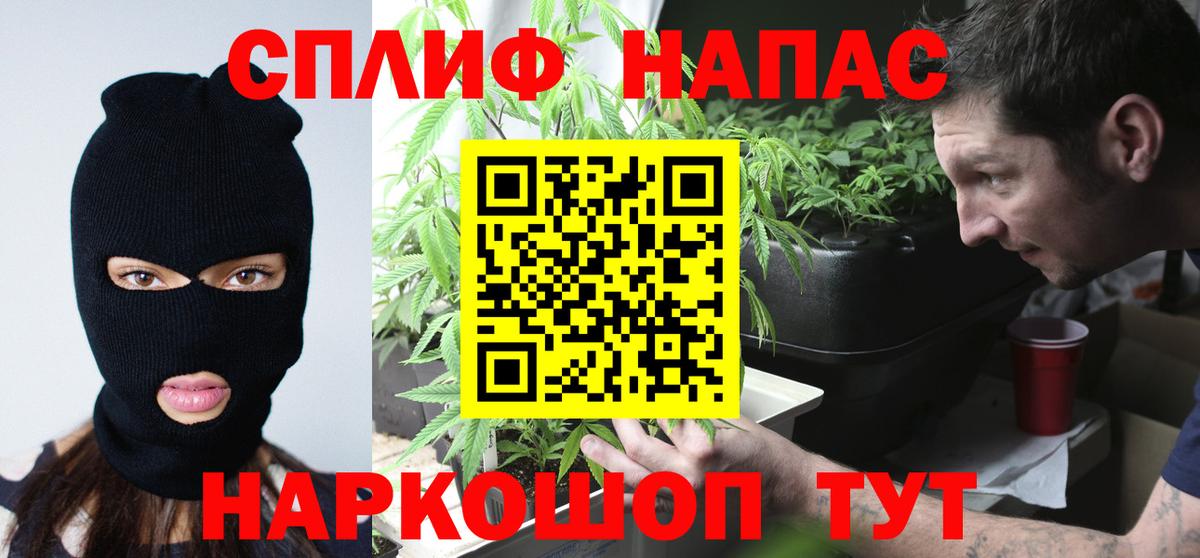 Каннабис план  Кыштым  МАРИХУАНА планчик  Марихуана SATIVA & INDICA 